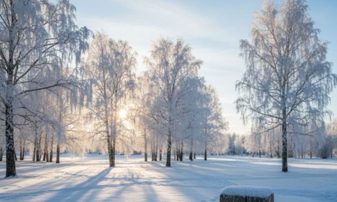 � ���������� ��������� �� �������� ��������� �� -25 ��������