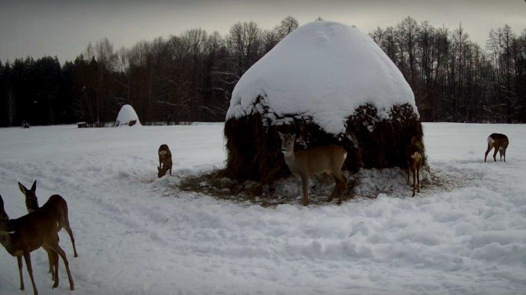 ������� �������� ������ ��� ������� ������ ����� � ����� �� �������