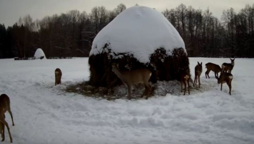 � ����������� ��������� ��� ������� ������ �� �������� ������