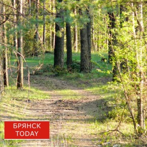 �������� ������������� ������������ ���������������� �� �������� �� ���