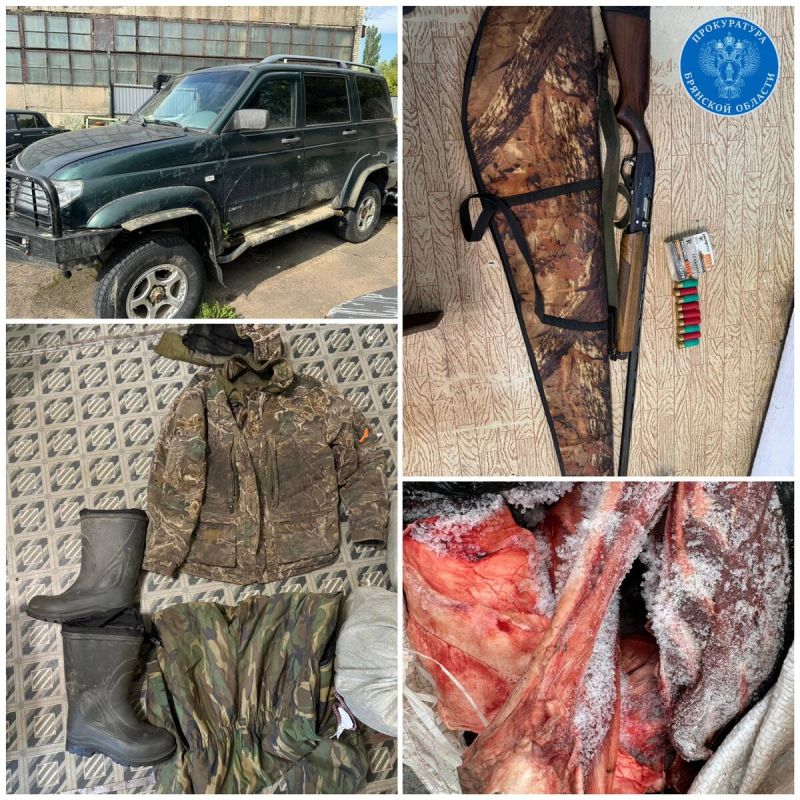 Отстрел косуль обернулся для брянцев конфискацией и судимостью