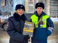 В Брянске сотрудники Госавтоинспекции провели профилактическую акцию «Будь примерным пешеходом»