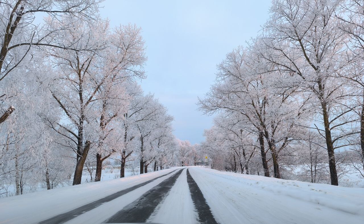 Зима превращает обычный путь в волшебное путешествие, где каждый поворот дарит новый заснеженный пейзаж, а дорога становится тропой между застывшими в безмолвии деревьями, будто охраняющими покой зимнего царства