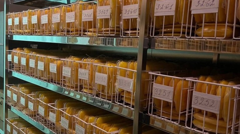 Более 600 доноров помогли больницам Брянской области