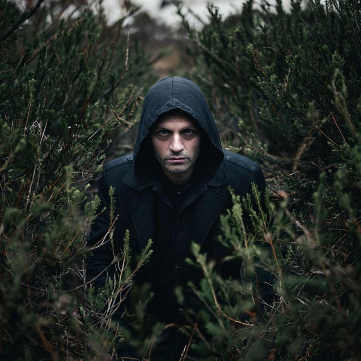 45 кг наркотиков изъяли у брянцев за год