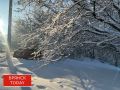 Брянцам в Татьянин день пообещали мороз и сильный ветер