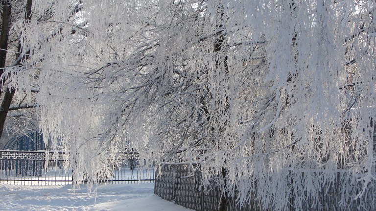 В Татьянин день брянцам пообещали морозы до -22 градусов