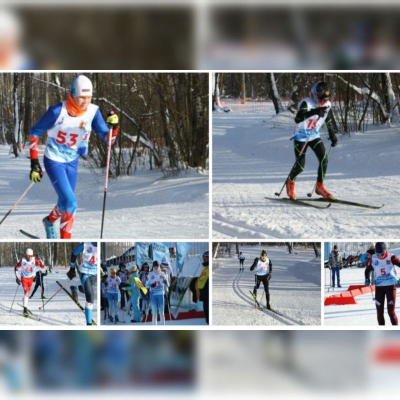 Брянские лыжники вступят в борьбу за медали игр благоверного князя Александра Невского