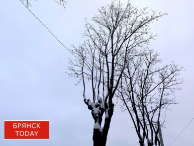 Сразу два погодных предупреждения объявили брянцам синоптики