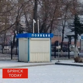 В Брянске вор-рецидивист обокрал родственницу на 10 тысяч рублей