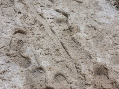 Брянскую область ждут ледяные дожди и температурные качели