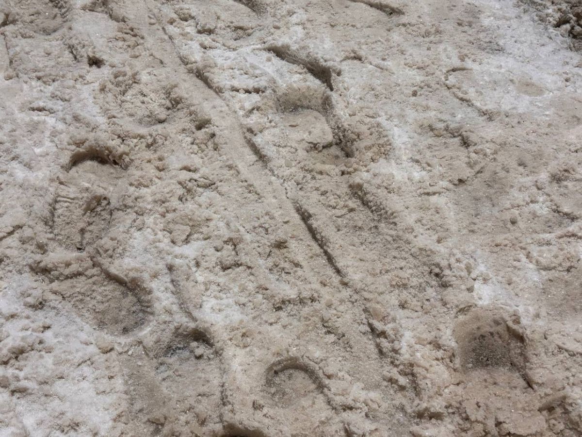 Брянскую область ждут ледяные дожди и температурные качели