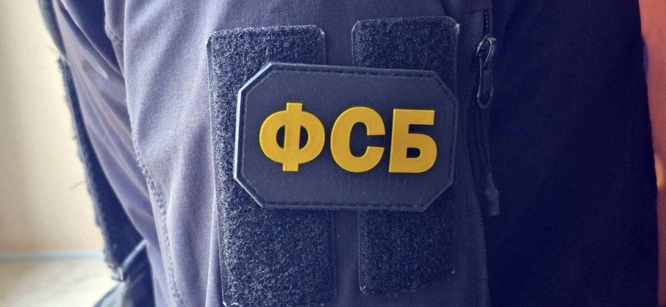 Экстремизм в сети: на брянца завели уголовное дело за комментарии