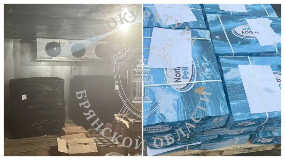 В Злынке вынесен приговор по уголовному делу о контрабанде мороженой рыбы