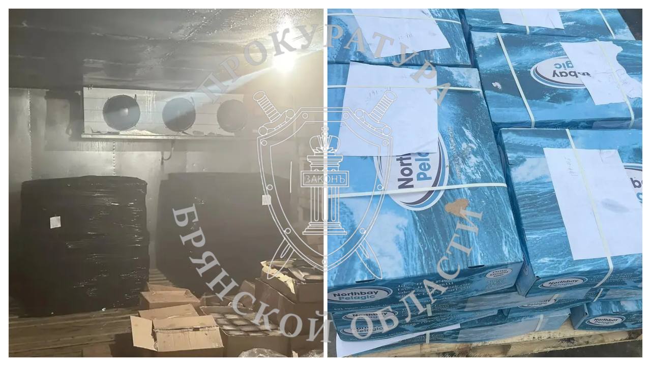 В Злынке вынесен приговор по уголовному делу о контрабанде мороженой рыбы