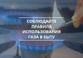 Комиссия по делам несовершеннолетних и защите их прав при администрации Брянского района напоминает о правилах пользования газом и газовыми приборами в быту