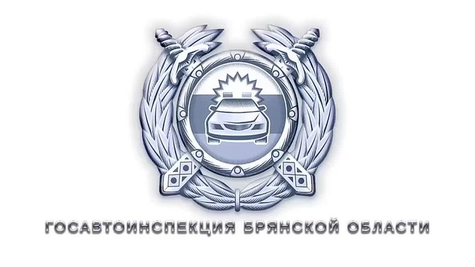 В Брянской области полицейские провели рабочую встречу с представителями автошкол региона