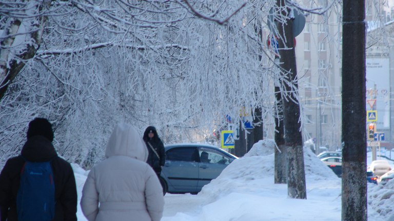 В Брянской области спрогнозировали гололед и туман до конца января