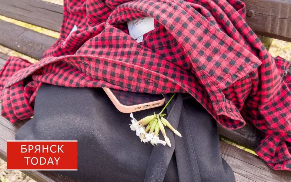 Брянец попал под суд из-за найденного в парке телефона