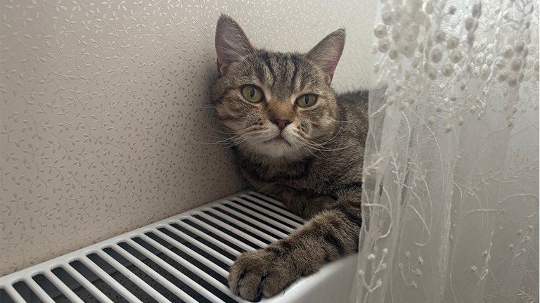 ����������� ������� �������� �������������� ����� � ����� ������� ����� ������