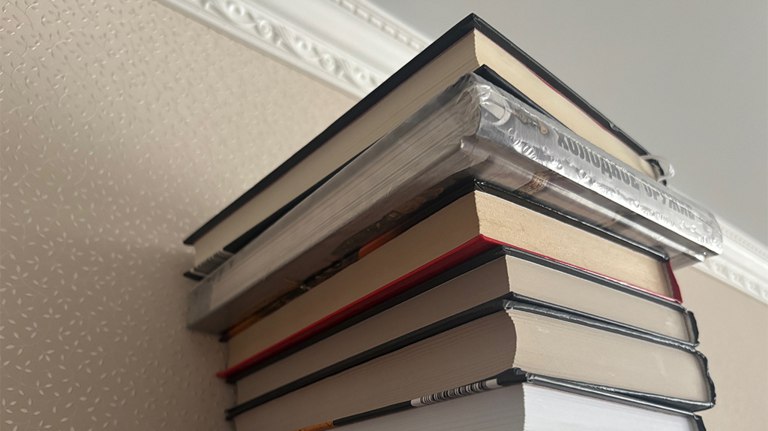 Власти Брянской области договорились о закупках мебели и книг у колонии