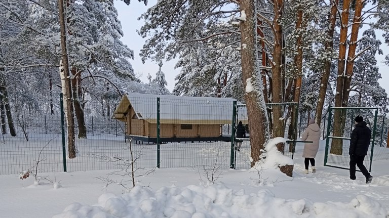 В Брянской области в 2025 году реализовали проект по созданию кемпинга