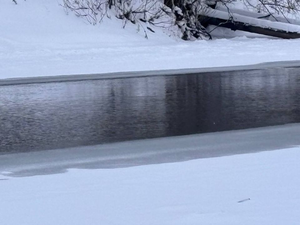 Пошел одиннадцатый день поисков провалившихся под лед детей в Брянске