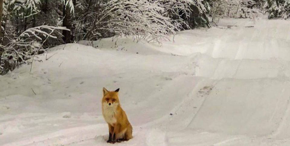 �� �������� ���������� ������ ��������� ��� �� �������� ��������