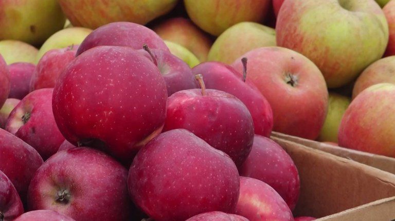 ������� ������������ � ��������� ������� �� ������