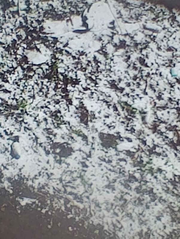 ��������� ���� ������ ������ �������� ������