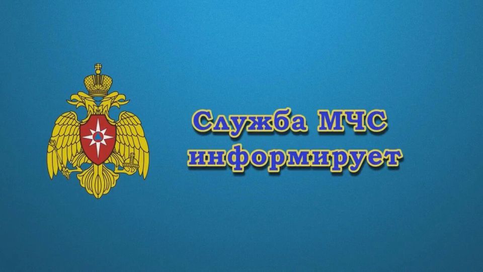 � ������ ���� � �������� ������� ��������� 139 �������, ��� �� 44 ������, ��� �� ����������� ������ �������� ����