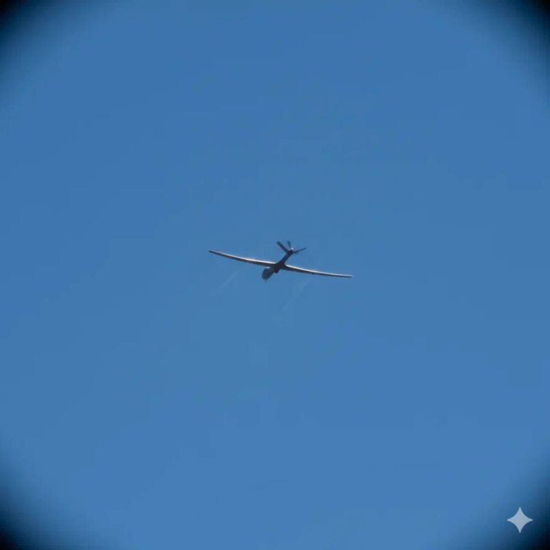 При атаке украинских FPV-дронов на брянское село пострадала женщина