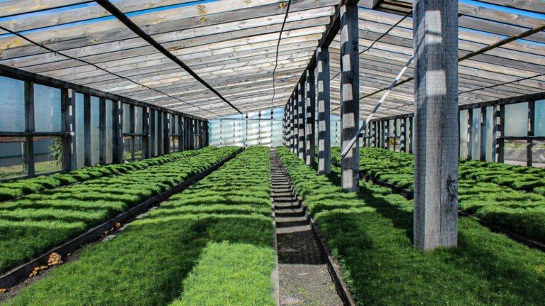 � �������� ������� �������� 16 ��������� �������� ��� ����� �� ���