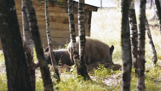 �������� ���� � ����� �������!