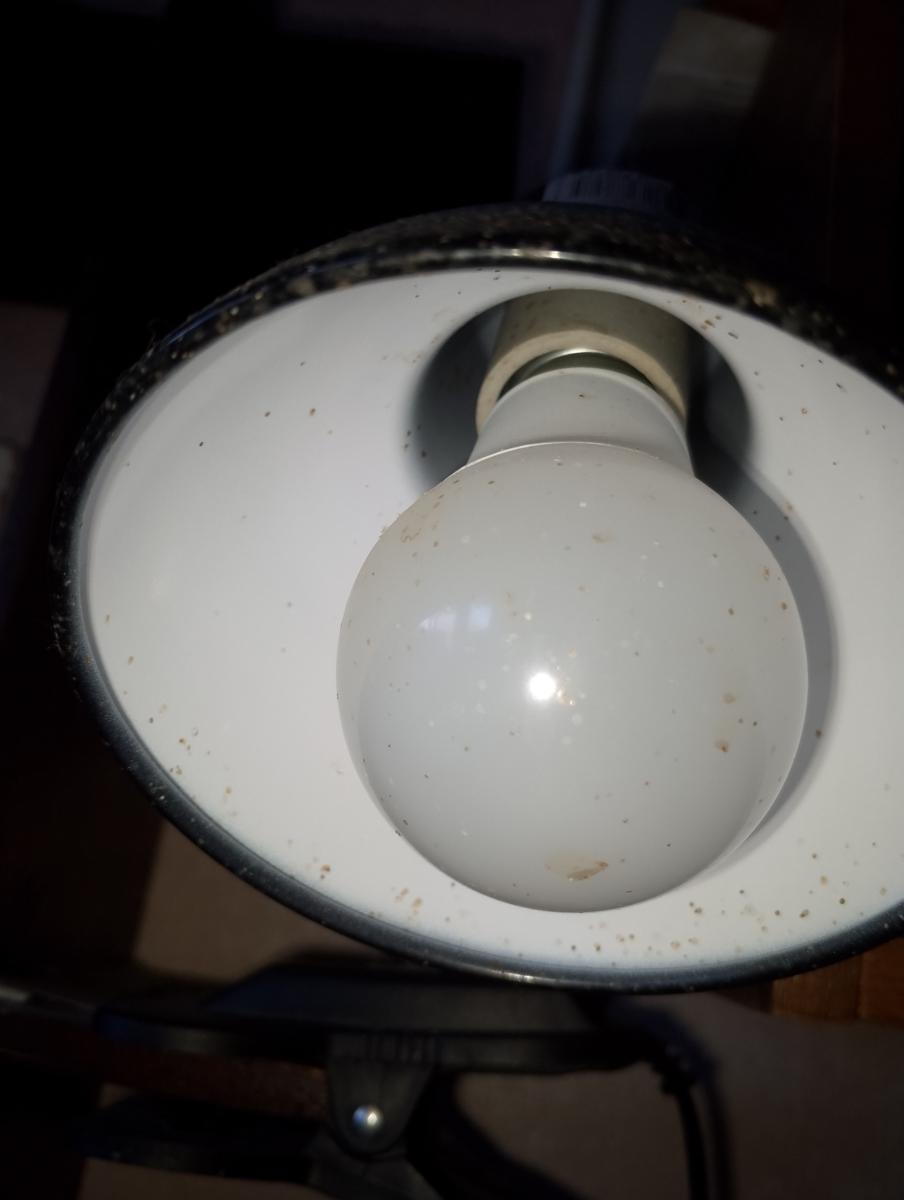 Жителям Брянщины показали новый график отключения света