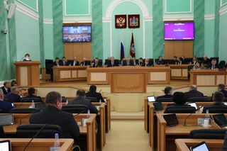 Брянская облдума решила поддержать многодетные семьи и бойцов СВО