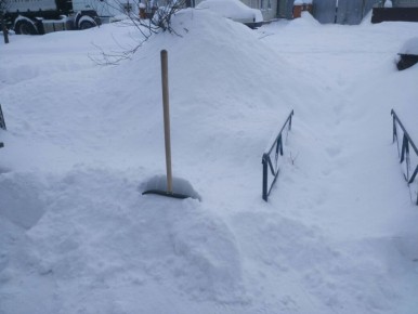 �� �������� � ��������� � ������� ��������� 100 ������ �����������