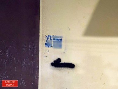 Наркозакладчик из Клинцов попросил забрать его из колонии