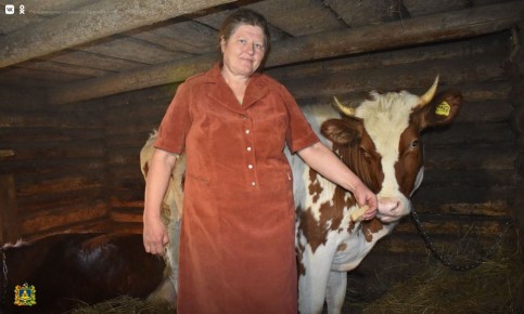 � �������� ���������, ��� ������ ���� ���������� � �������� � ������������� �������, ������ ����� �������� ����, ��� ����������� ���� ������� �� ������ ������, �� � ������ ��� ����������