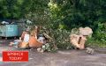 Свалку на проспекте Ленина в Брянске ликвидировали по сигналу из ЦУР