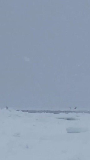 ������ � ����������� ��������� ������� ���������� �� ������ � ������ ���� ������������ � ����������� �������