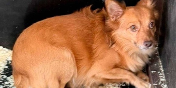 �������� ����� ������ ������ � ������ ������� ����� ������