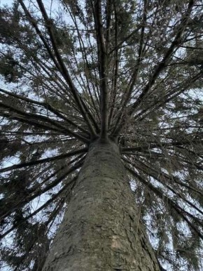 � ���������� ��������� ���� �������� ����� 18 ��� ������ �� �����