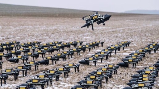 ��� ��������� ����� ������� � �������� �������, ������� ������ �����