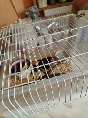 �������� ��������� ������� �� ����� ������� ���������� ������