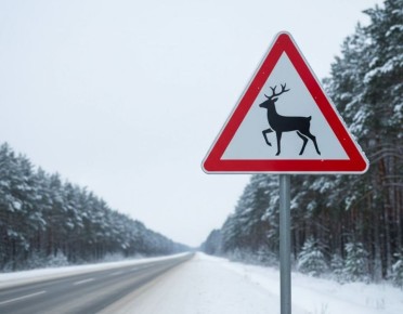 �������������� �������� ������ �������� ������ �� ������ ����� �� 17 ��� ������