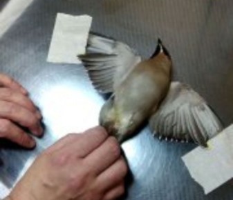 ������ ������ ���������� � ��������� ������ � ����������� ������