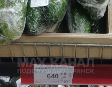 ������ �������: � �������� ��������� �������� ������ �� ������� �� 640 ������