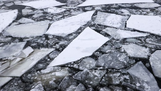 � ���� ����� ����� ���� �������, �������������� ��� ��� 20 ������: ��� �� ���� ��������