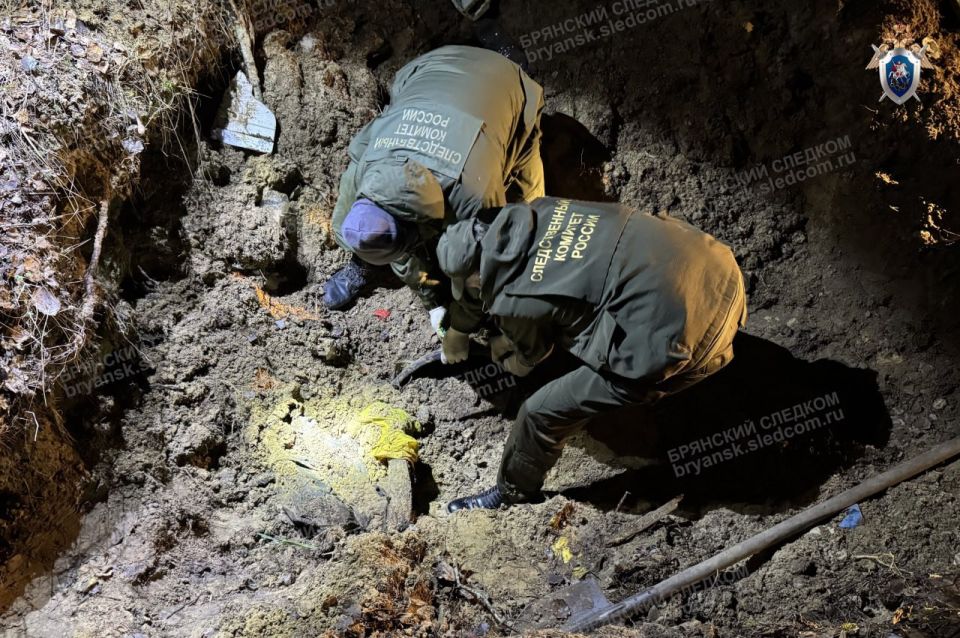 � ����������� ������ ��������� ������������� ���������� ���� �� �������� �������� ������ � ����� ���������� ��� ���������� (�.�. ��, � �. 2 ��. 105, �. �� �. 3 ��. 158, �. 2 ��. 316 �� ��)